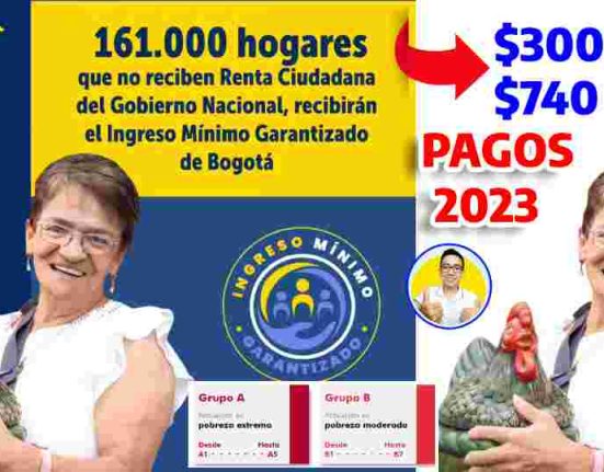 PAGOS 2023 IMG - CONSULTA - RENTA CIUDADANA - WINTOR ABC