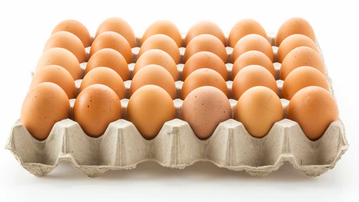 El precio del huevo está bajando en algunas regiones del país | Esto dice fenavi