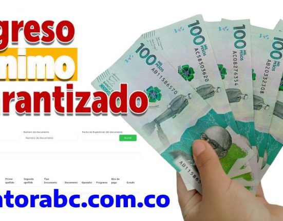 Mano con billetes, dinero colombiano, Ingreso Mínimo Garantizado, consulta hogar en pobreza extrema, wintorac.com