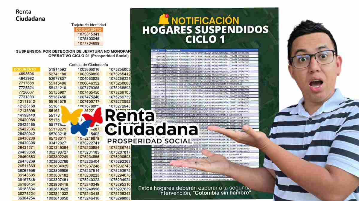 Imagen de Wintor ABC: Hogares beneficiarios Suspendidos de transferencias monetarias Renta Ciudadana 1er pago 2024
