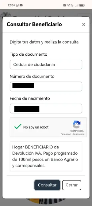 IMAGEN DE CAPTURA PAGO IVA 2024