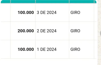 Imagen de consulta activo pagos IVA 2024