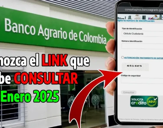 Conozca el link que debe consultar a mitad de mes para saber si tiene liquidación disponible