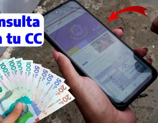 En enero se pagará nuevamente ingreso mínimo garantizado, consulta con tu cc