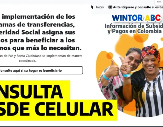 Paso a paso para consultar en línea desde celular si eres nuevo beneficiario de la Devolución del IVA, requisitos y focalización