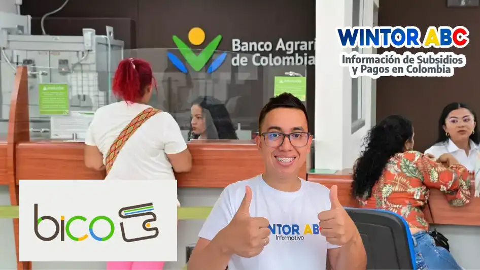 Paso a paso para descargar la billetera digital BICO y recibir transferencias monetarias sin filas