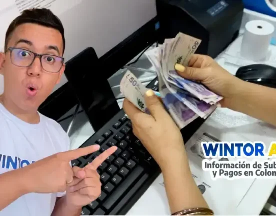 Entra aquí para validar tu subsidio IMG: link oficial de la Secretaría Distrital