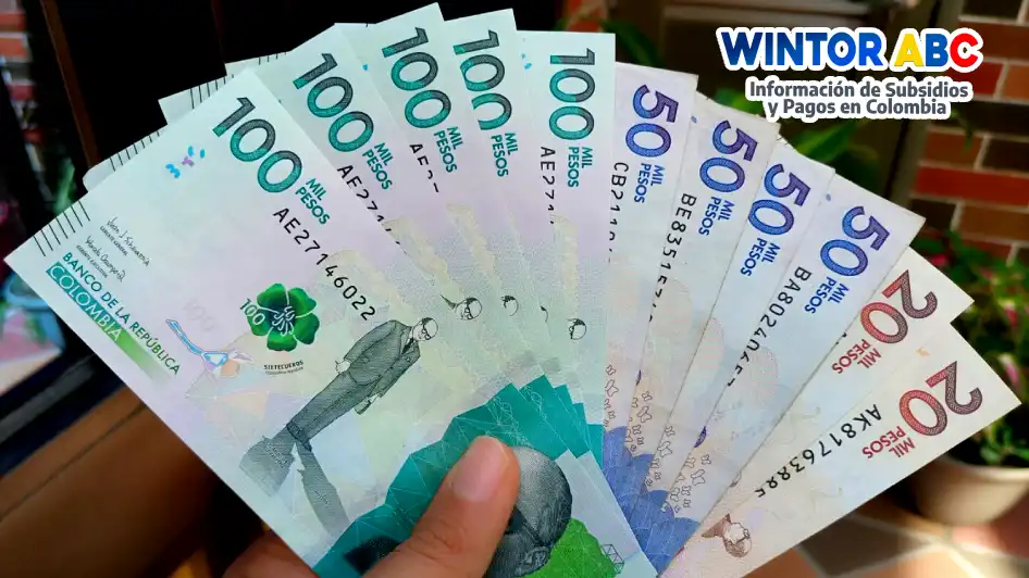 Consulta si eres beneficiario por damnificados en jefes y jefas de hogar 1 Consulta si eres beneficiario por damnificados en jefes y jefas de hogar