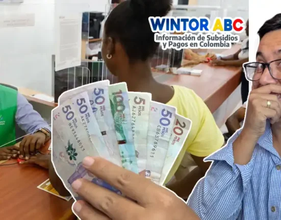 imagen de mujer Verificando tercer ciclo y logo wintor abc