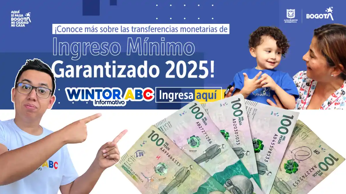 Ingreso Mínimo Garantizado 2025 veriifca si puedes acceder