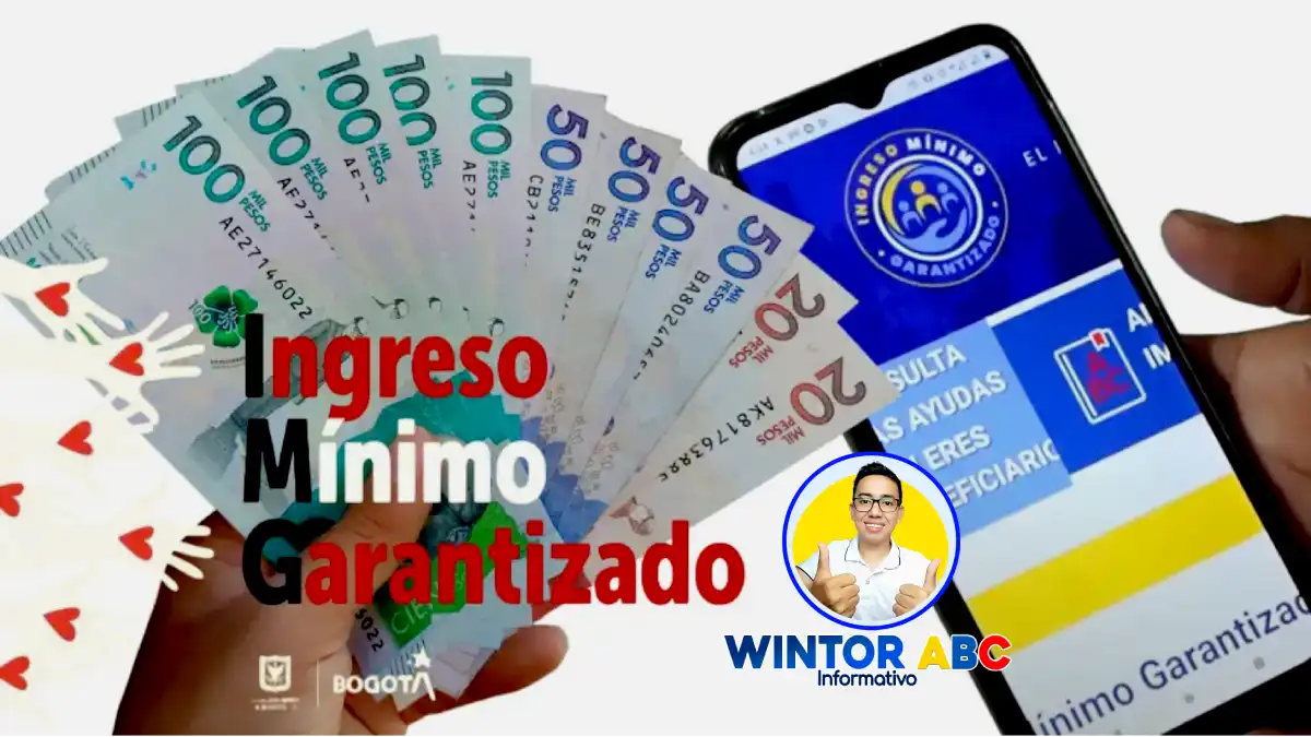 Así puede consultar si tiene liquidación de IMG 2025