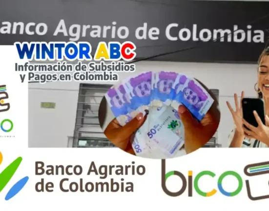 Iniciaron los pagos por BICO y Movii en Renta e IVA