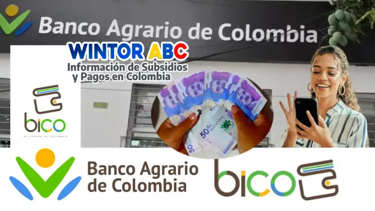Iniciaron los pagos por BICO y Movii en Renta e IVA