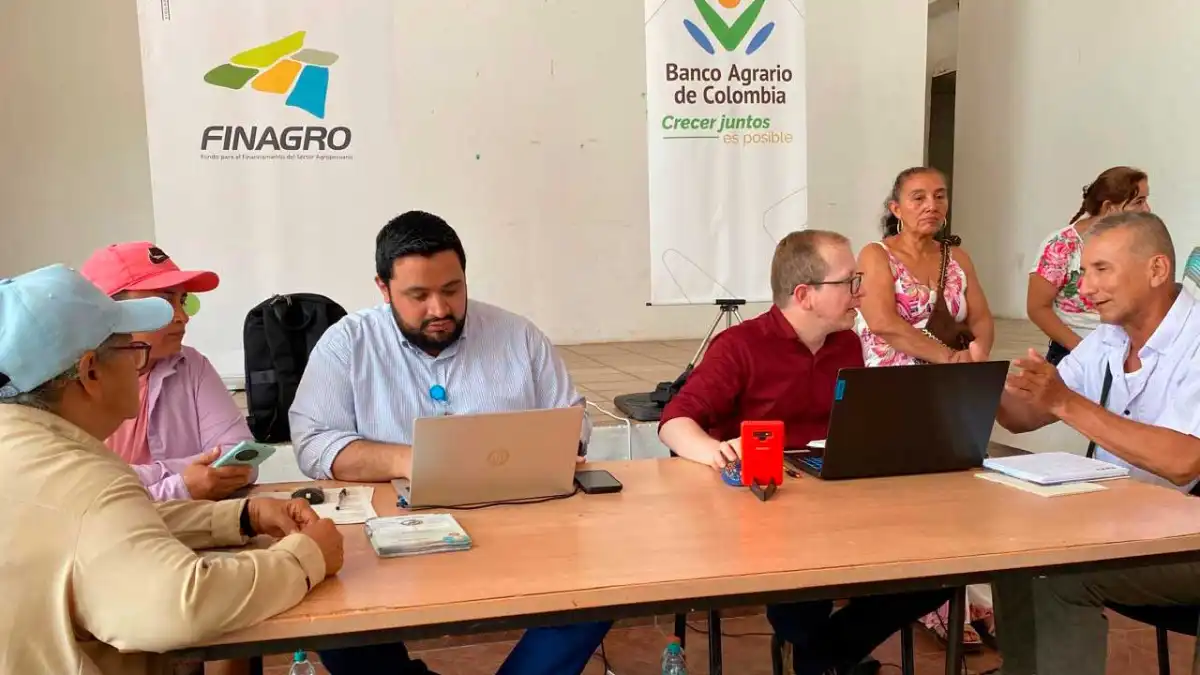 El Gobierno lanza alivios financieros para más de 650 productores de arroz con apoyo de Finagro y el Banco Agrario. Conoce los beneficios disponibles.