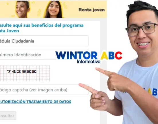 Link disponible para consultar giros RJ 2025