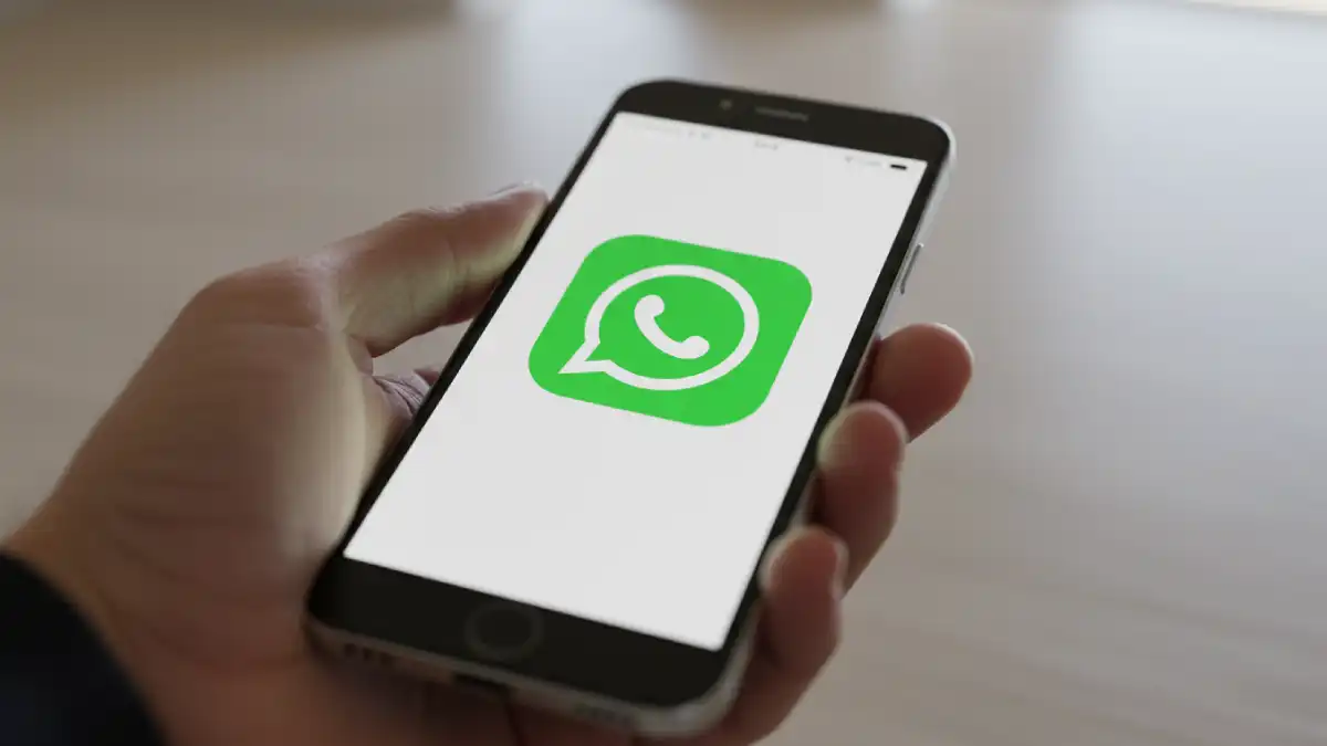 Pasos para encontrar la papelera secreta de WhatsApp y liberar espacio en tu celular