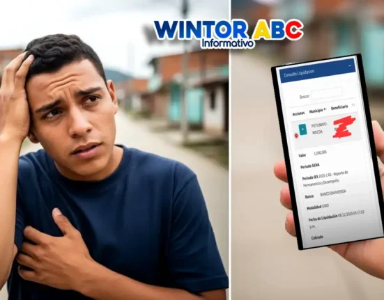 Imagen de un joven mirando el Ciclo 5