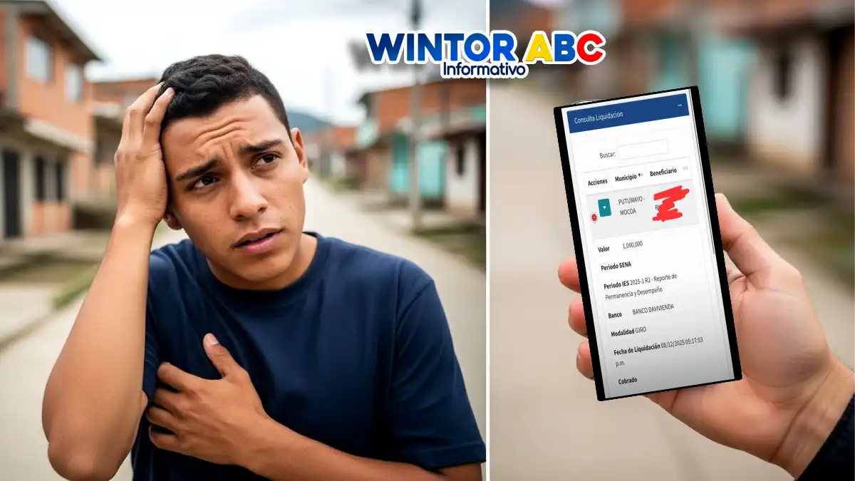 Ciclo 5 Renta Joven por SIIF: qué entregan y desde cuándo se paga en diciembre 1 Imagen de un joven mirando el Ciclo 5