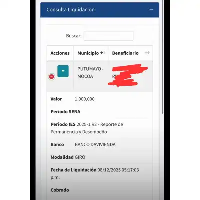 IMAGEN DE CONSULTAR LIQUIDACIÓN