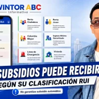 Subsidios según clasificación del RUI 2026