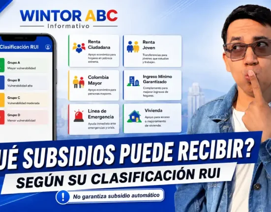 Subsidios según clasificación del RUI 2026
