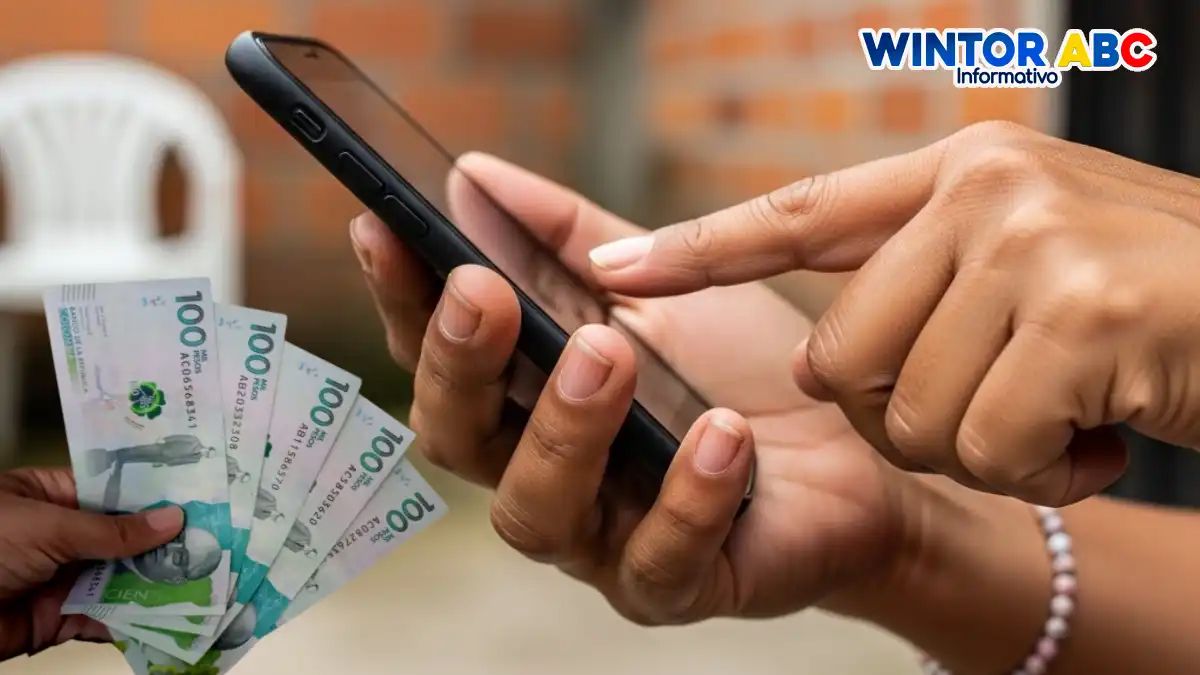 Imagen de unas manos mirando el celular sobre la distribución de pago