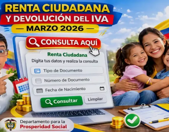 Imagen de Consulta aquí Renta e IVA