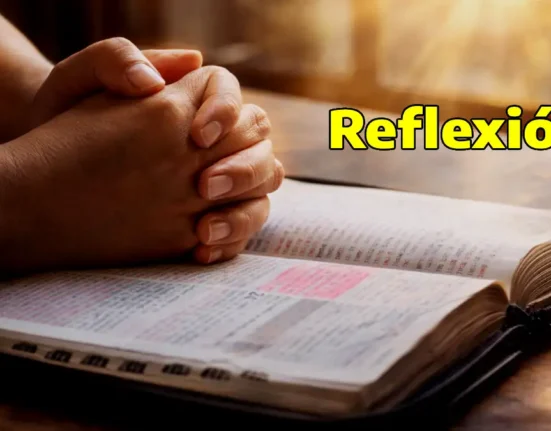 Imagen de biblia y manos de Reflexión