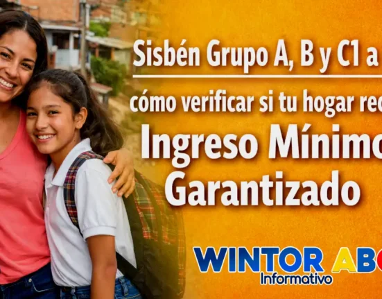 Imagen de cómo verificar tu subsidio img 2026