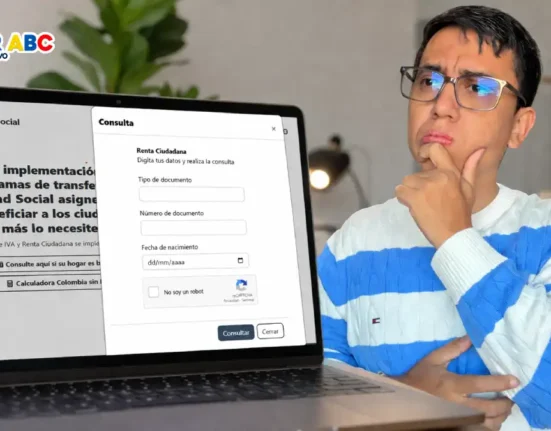 Imagen de ¿cuándo se actualiza link Renta e IVA?