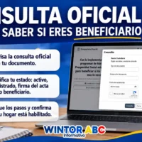 Imagen de la consulta oficial en Renta e IVA