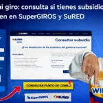 Imagen de la consulta, si tienes subsidio 2026