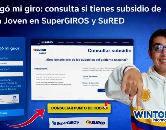 Imagen de la consulta, si tienes subsidio 2026