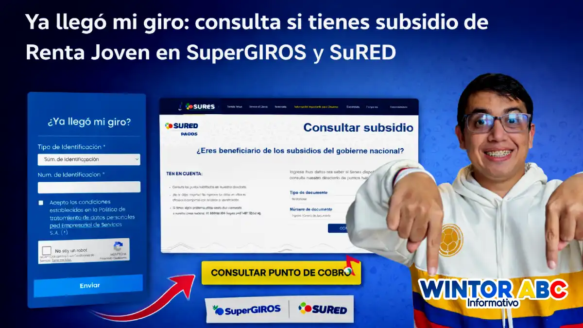 Imagen de la consulta, si tienes subsidio 2026