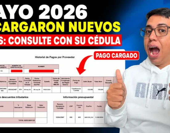 Imagen del pago cargado en mayo 2026 de IMG