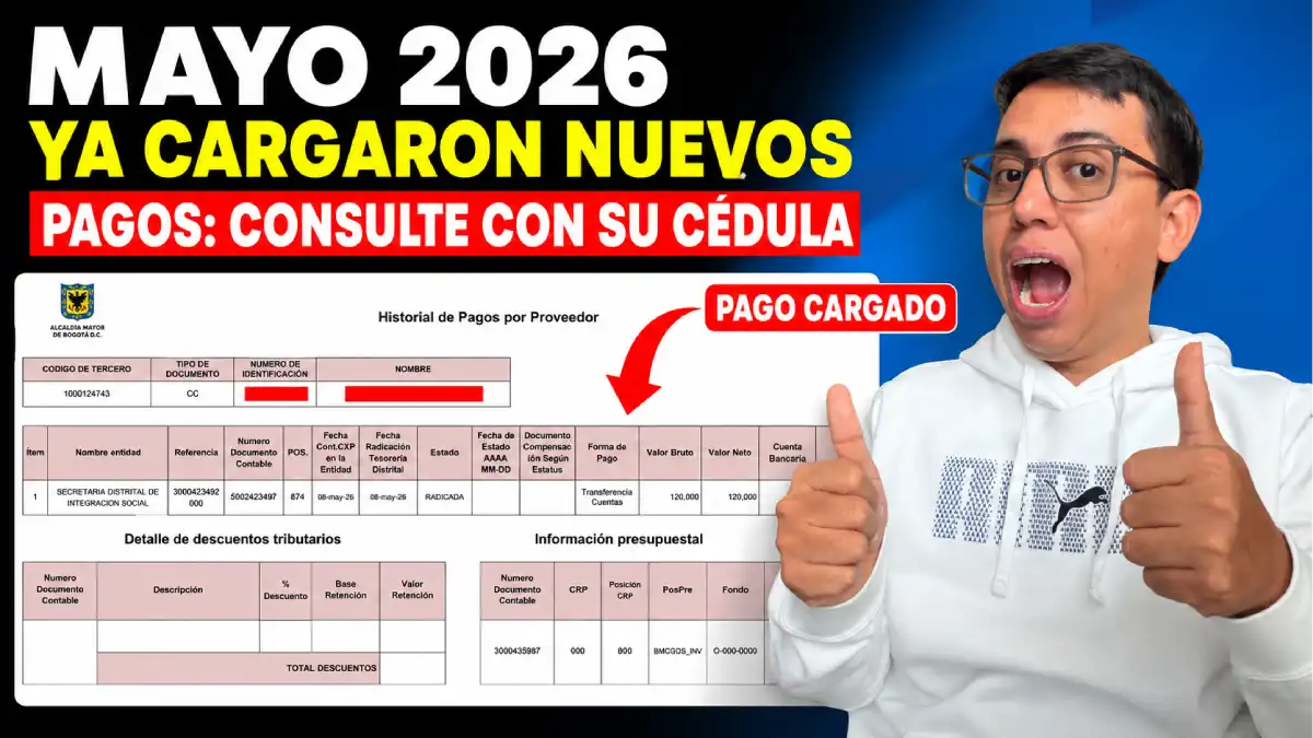 Imagen del pago cargado en mayo 2026 de IMG