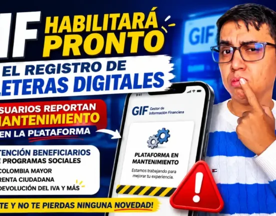 Imagen del registro de billeteras mediante el gif en 2026
