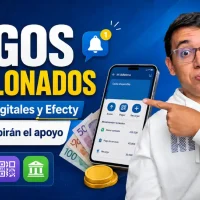 Imagen sobre Pagos escalonados de IMG en 2026