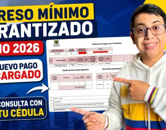 Imagen sobre el nuevo pago cargado 2026 de IMG