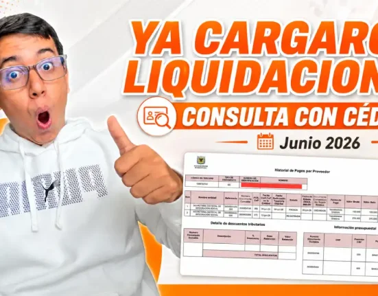 Imagen de que puede consultar liquidación de IMG 2026
