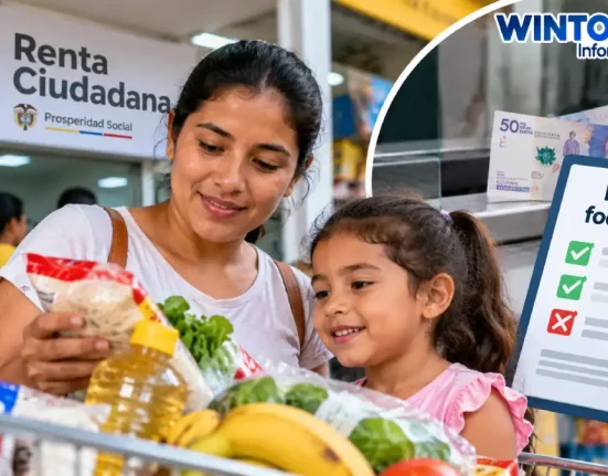 Madre e hija haciendo mercado, imagen ilustrativa sobre los hogares focalizados de Renta Ciudadana 2026.