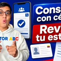 Imagen sobre la consulta de beneficiario Renta e IVA