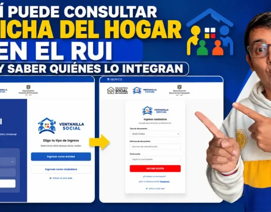 Imagen sobre la consulta de la ficha del hogar en el RUI