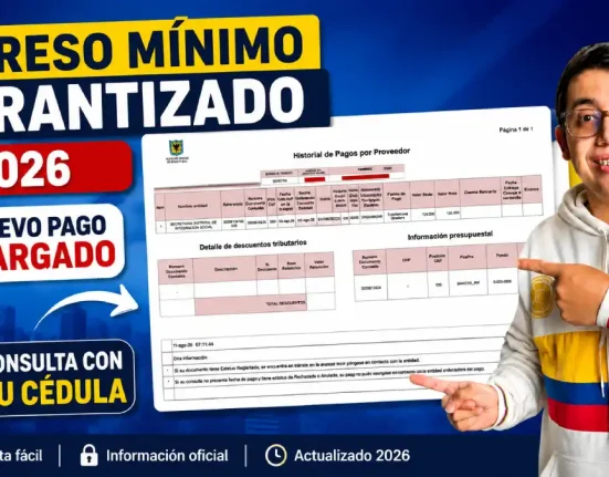 Imagen sobre el nuevo pago cargado de IMG en 2026