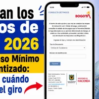 Imagen sobre que iniciaron los pagos de julio 2026 de IMG