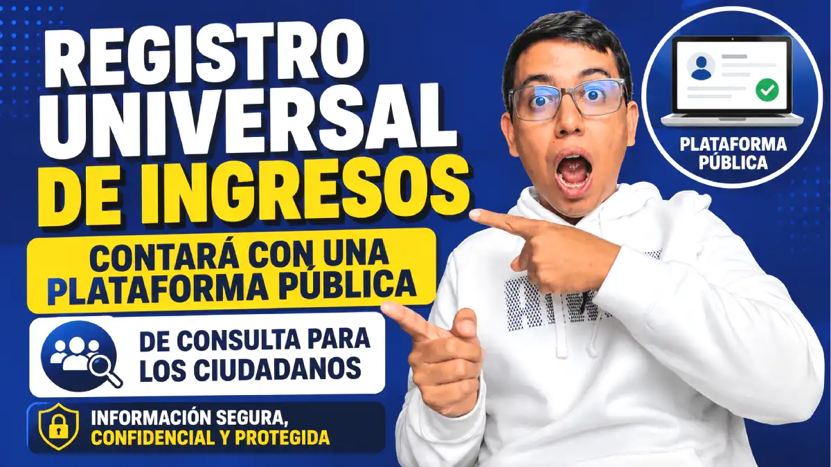 Registro Universal de Ingresos: así funcionará la plataforma pública de consulta para los ciudadanos 1 Imagen sobre que habilitarán la plataforma pública de consulta RUI