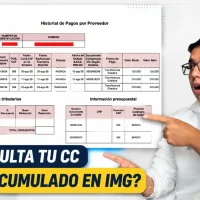 Consulta del historial de pagos del Ingreso Mínimo Garantizado con liquidación y posibles valores acumulados.