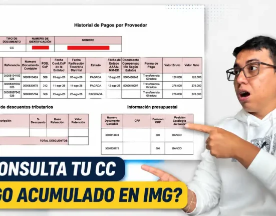 Consulta del historial de pagos del Ingreso Mínimo Garantizado con liquidación y posibles valores acumulados.