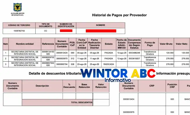 Consulta del historial de pagos